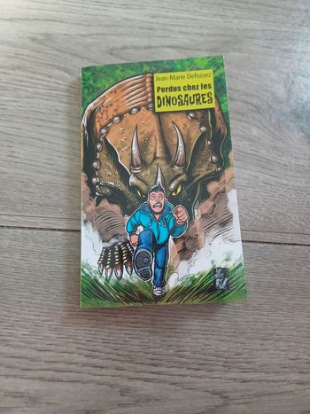Livre enfant 9.10 ans