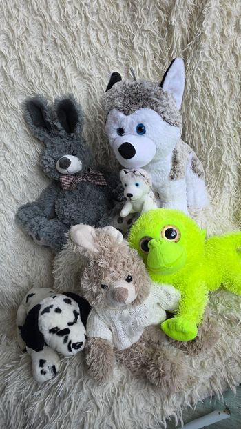 Peluche lot de 5 lapin chien loup singe