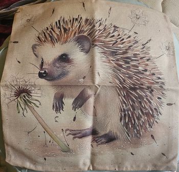 2 housses de coussins hérisson
