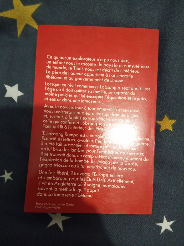 Livre (149) 📚 Le troisième oeil - photo numéro 2