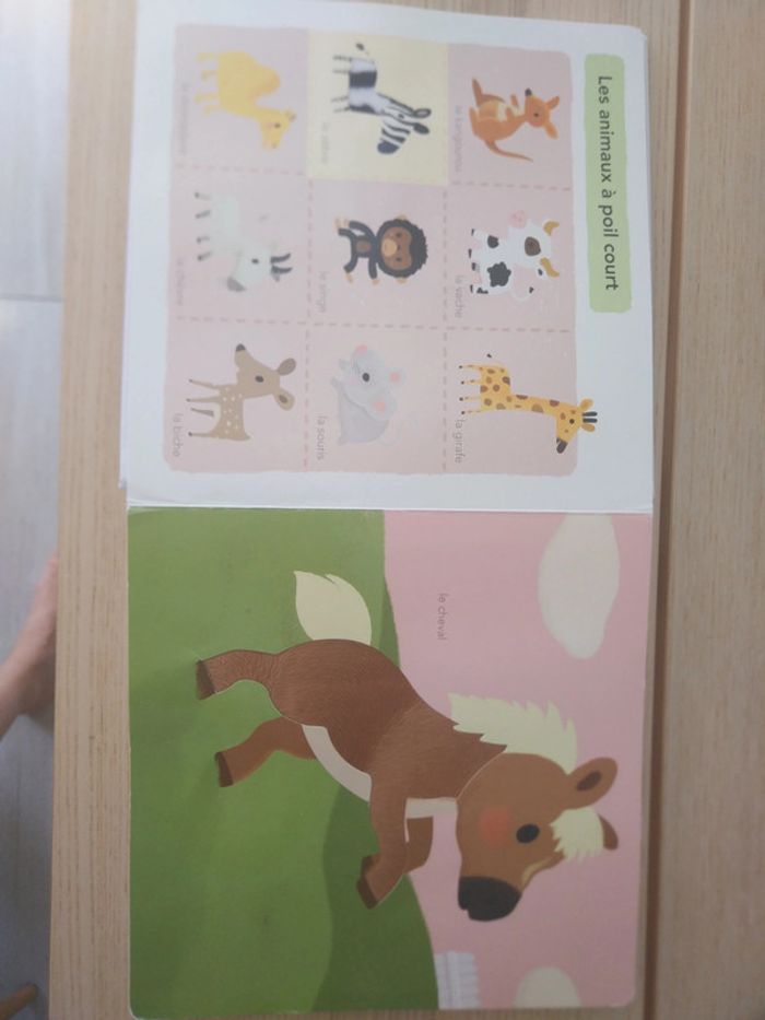 Grand imagier à toucher - photo numéro 16