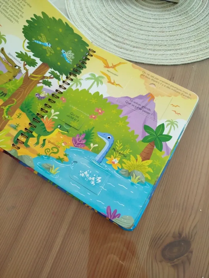 Livre à volets - photo numéro 2