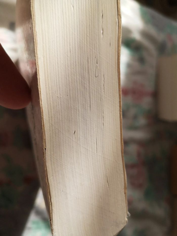 Assassin's creed - photo numéro 7