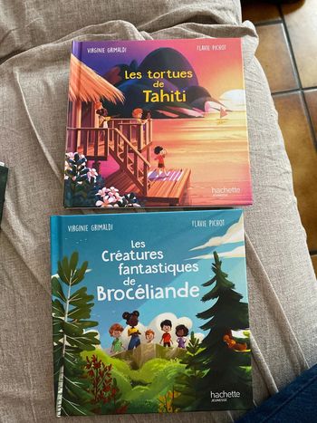 Livre McDo merveilles de France