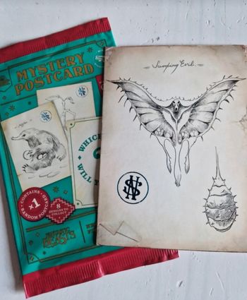Mystery postcard Harry potter 