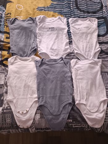 Bodies