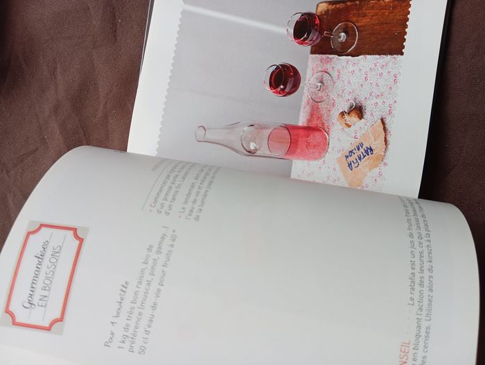 Livre cadeaux comestibles - photo numéro 10