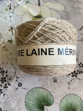 100 gr de pure laine mérinos