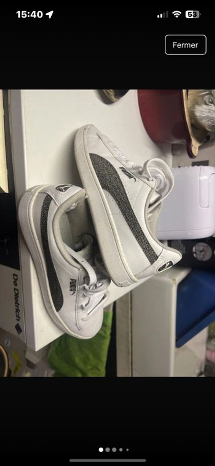 Basket puma