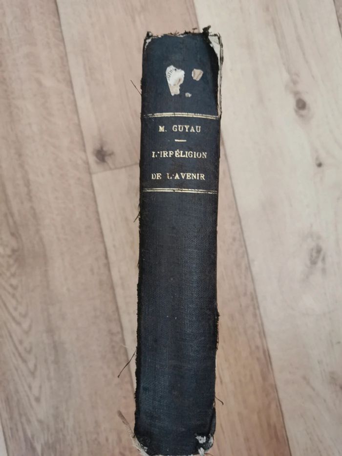 L'Irréligion de l'avenir