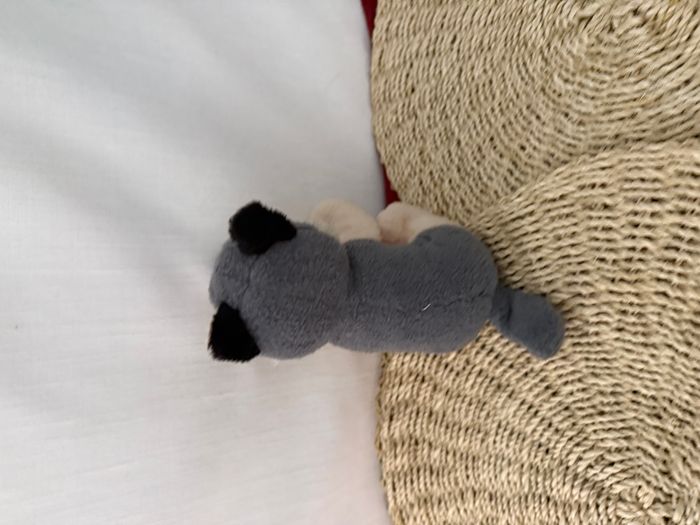 Peluche loup JUNGLE AVENUE gris beige - photo numéro 4