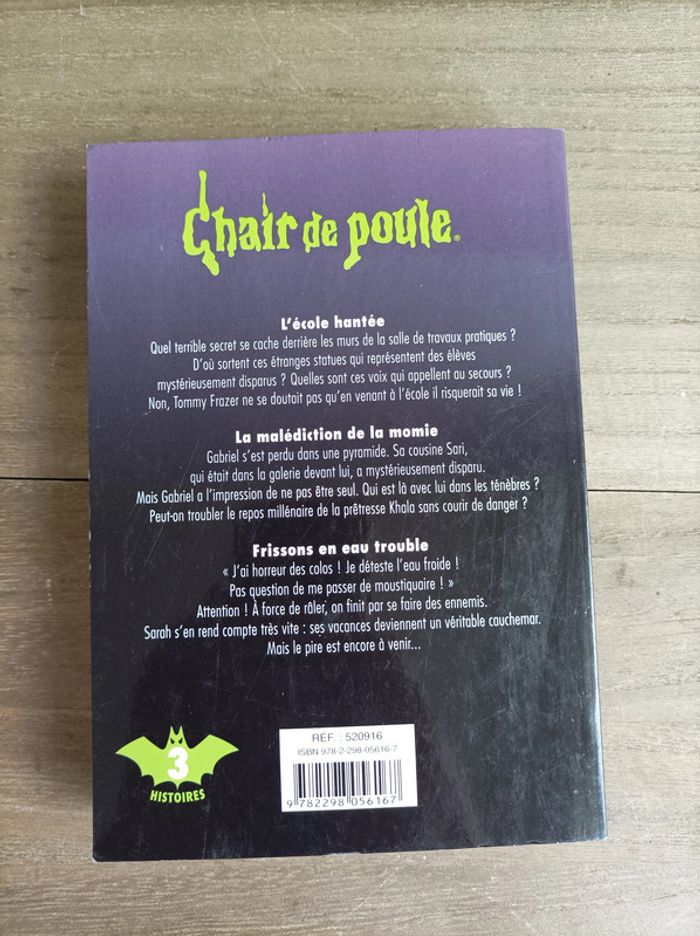 Livre enfant chair de poule 3 histoires - photo numéro 3