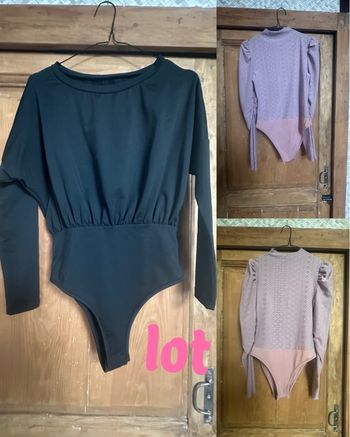 Lot 2 bodies 
