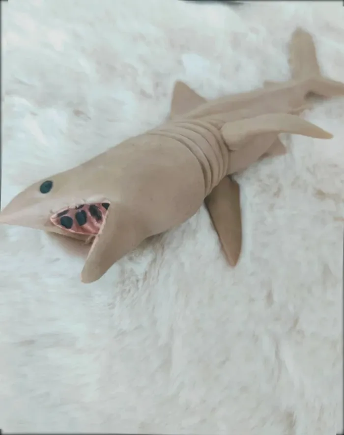 Animaux - photo numéro 2