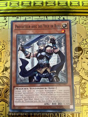 Carte Yu-Gi-Oh! : Protecteur avec des yeux de bleu - LDK2-FRK07