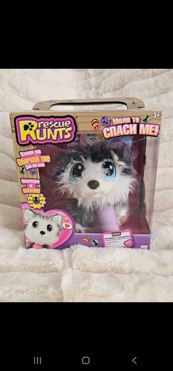 Soigne le petit chien 🐕 Runts avec tous ses accessoires Neuf