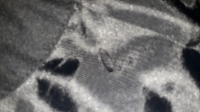 Manteau - photo numéro 8