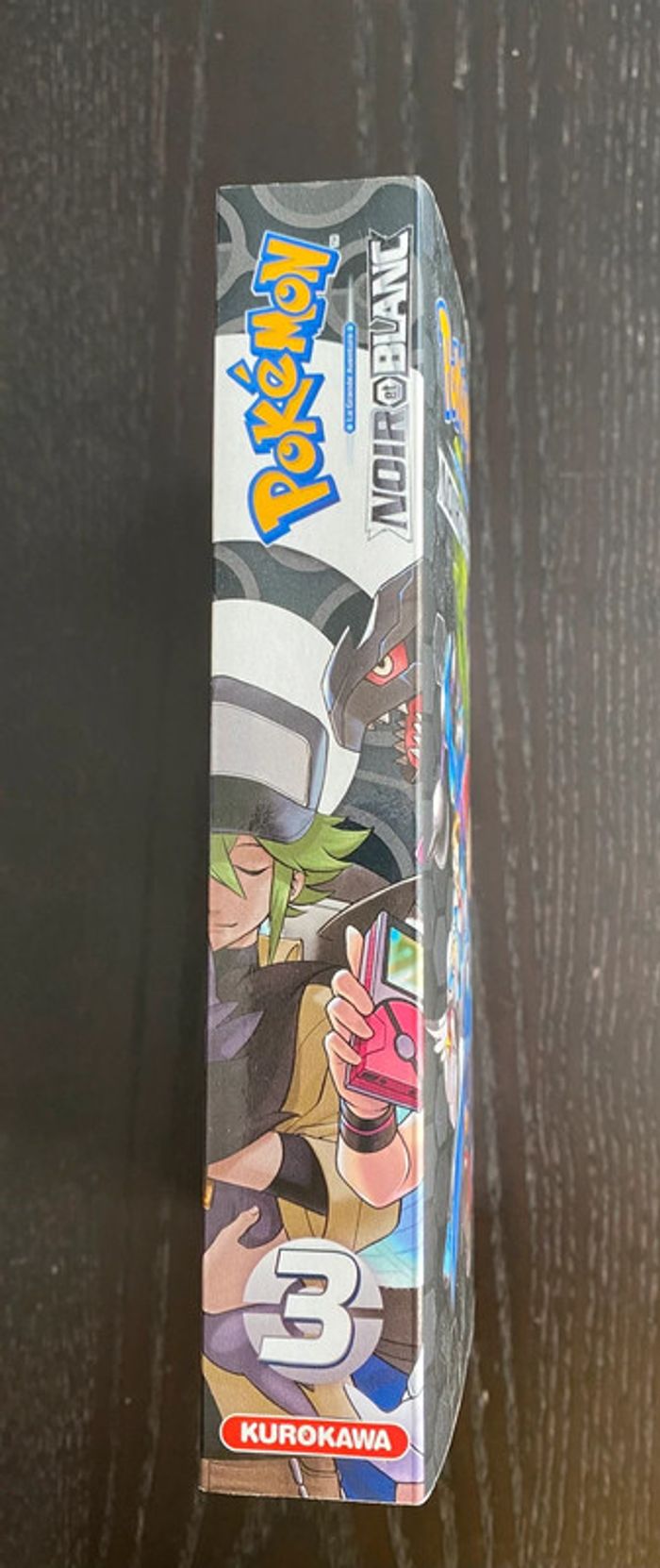 Pokémon noir et blanc 3 - photo numéro 3