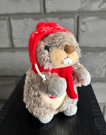 marmotte