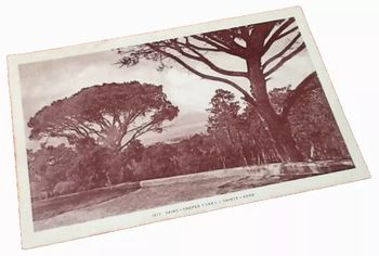 Carte postale ancienne  Saint-Tropez (Var) Sainte-Anne