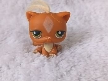 Littlest Pet Shop Chat Roux LPS #226 - Hasbro Authentique
