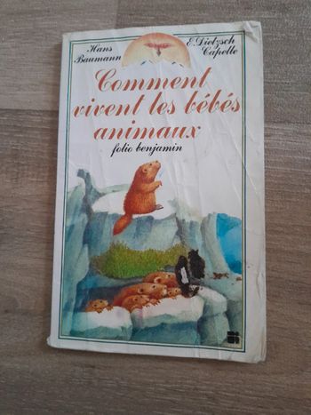 Livre comment vivent les bébés animaux 🌺