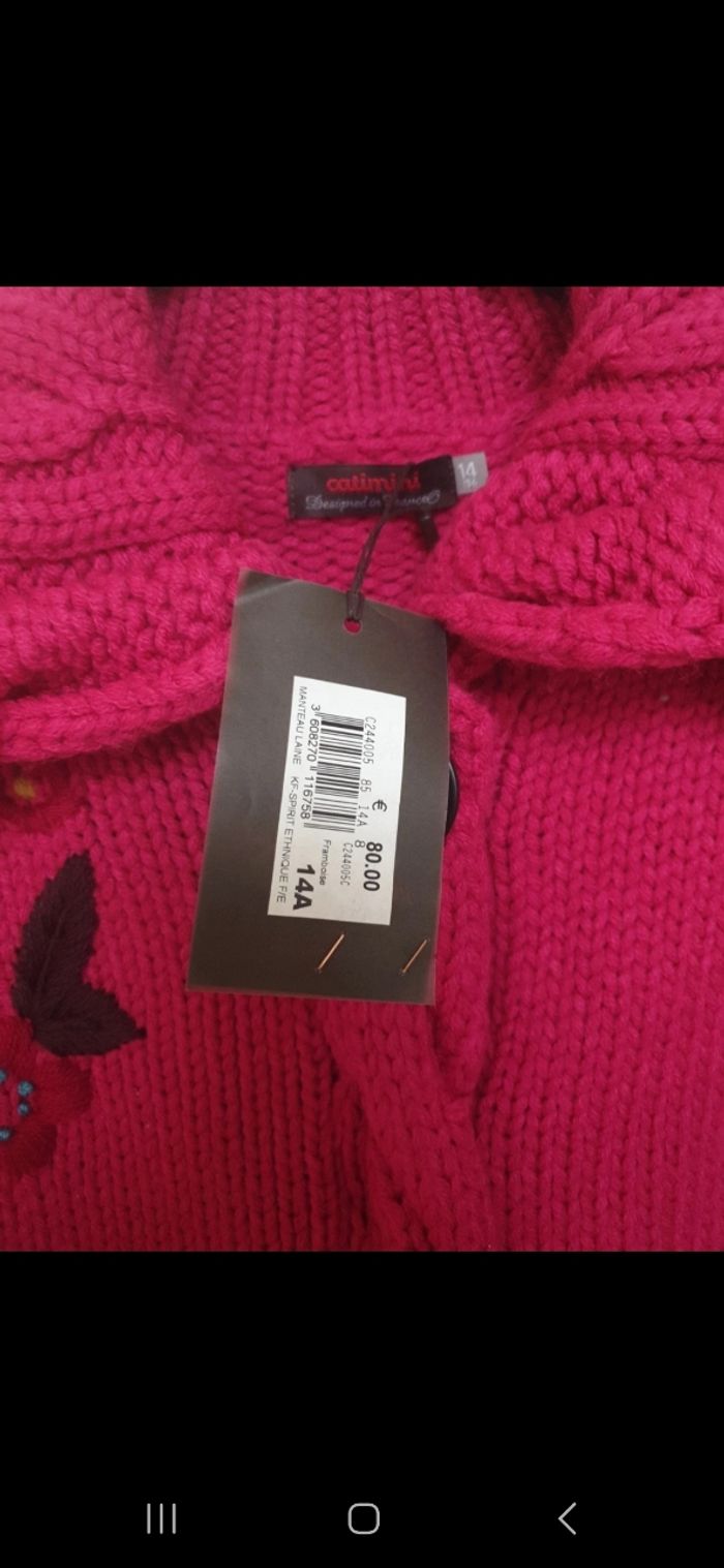 Magnifique veste - photo numéro 4