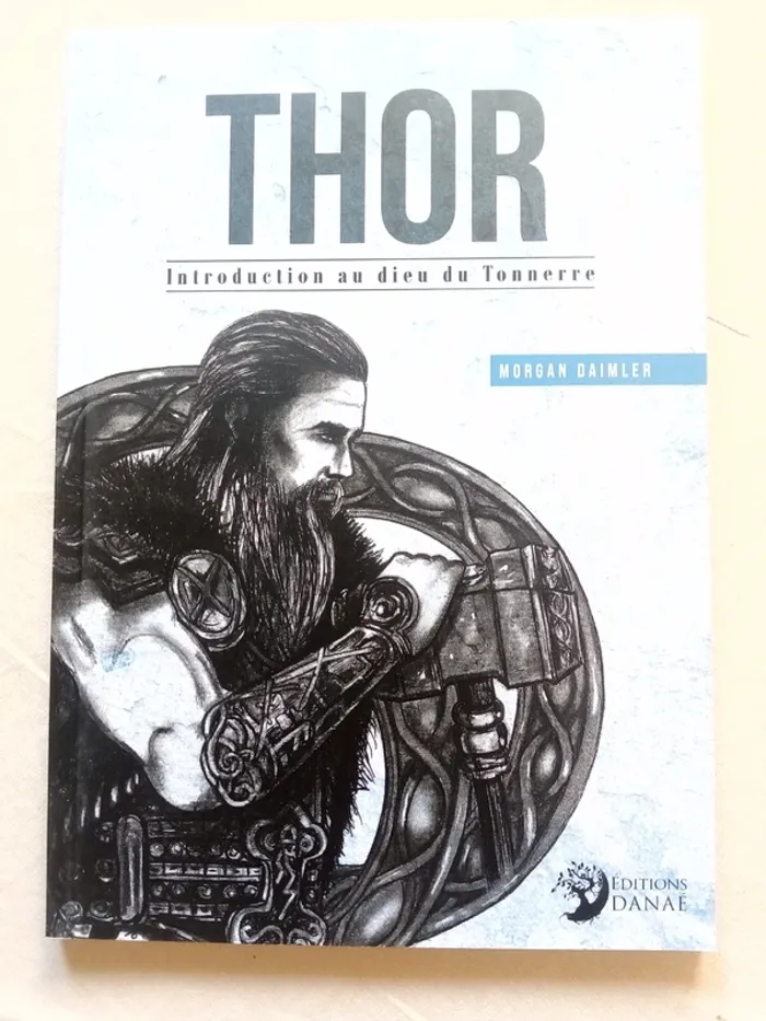 Thor - Introduction au dieu du Tonnerre - photo numéro 6