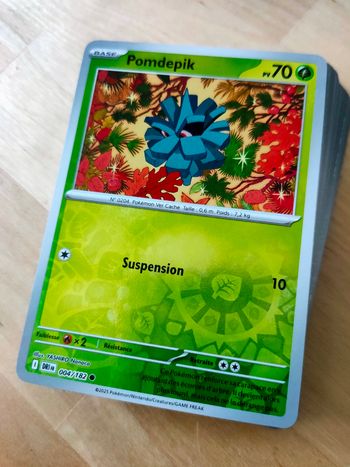 Reverses Rivalités Destinées (DRI)