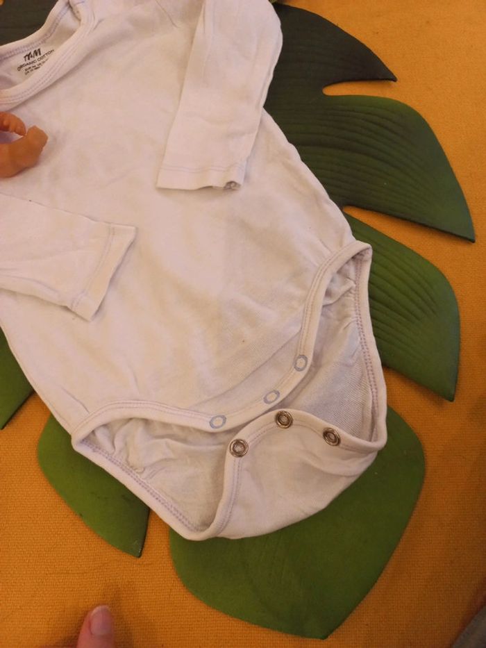 Body 12 a 18 mois coton biologique - photo numéro 4