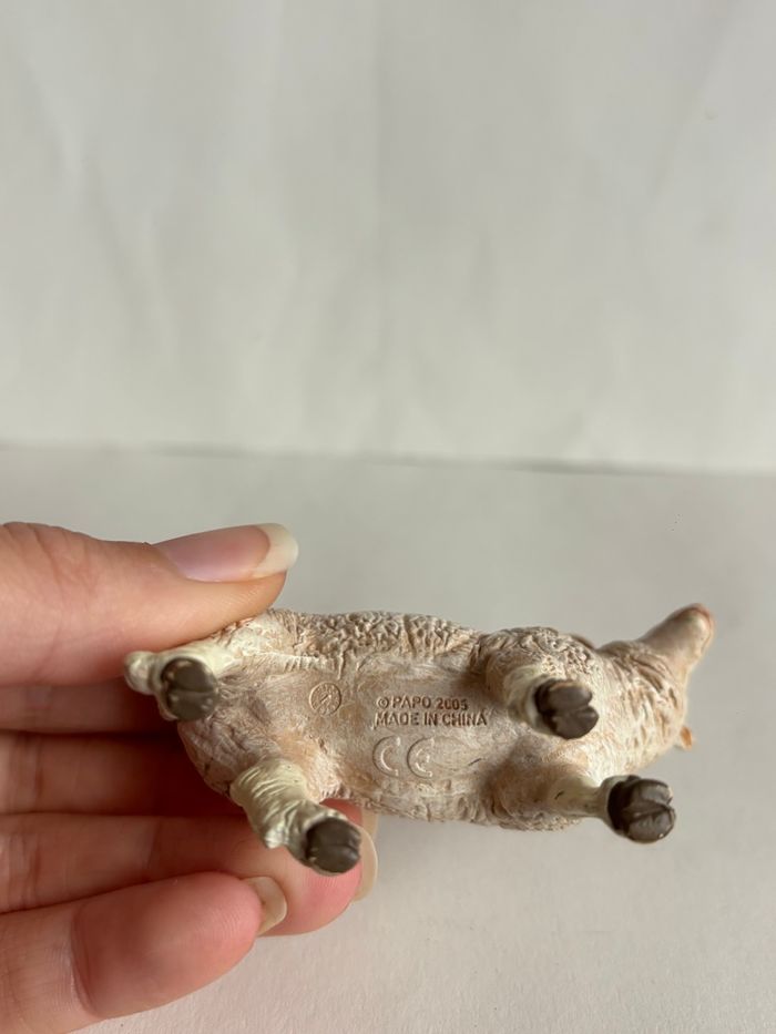 Mouton papo - photo numéro 2