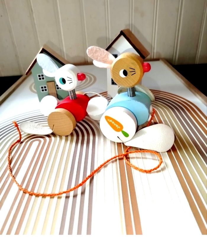 🟠 Janod Family Lapins à promener