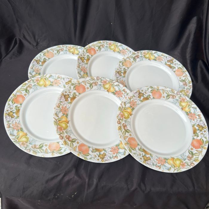 Ensemble de 6 assiettes plates vintage Ève Arcopal - photo numéro 4