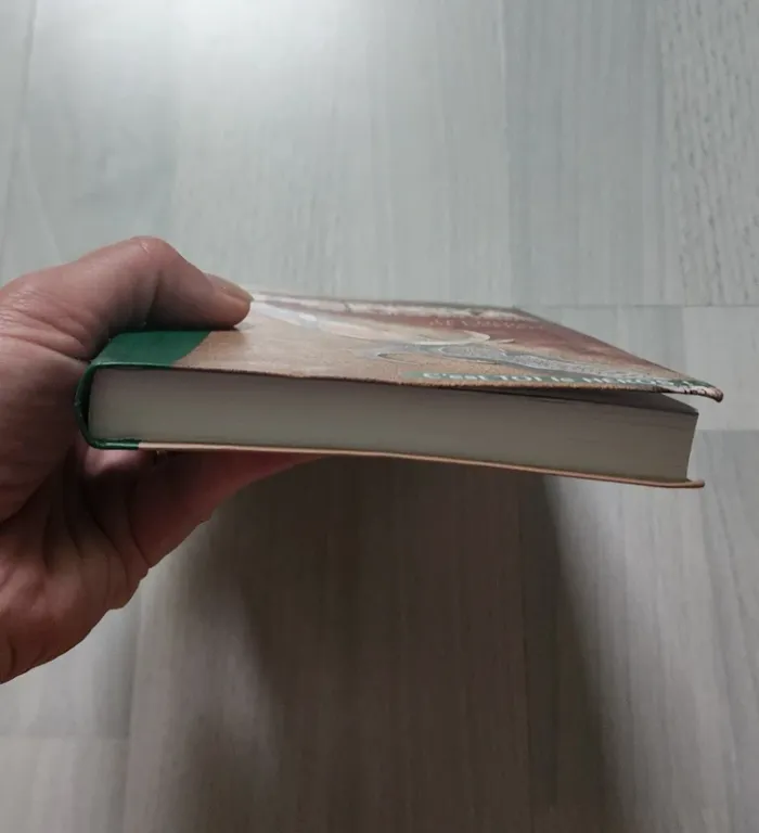 Livre - photo numéro 5