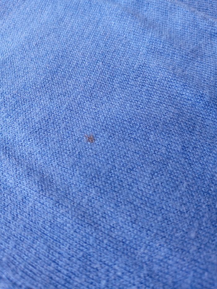 Pull camaïeu taille 38 - photo numéro 5