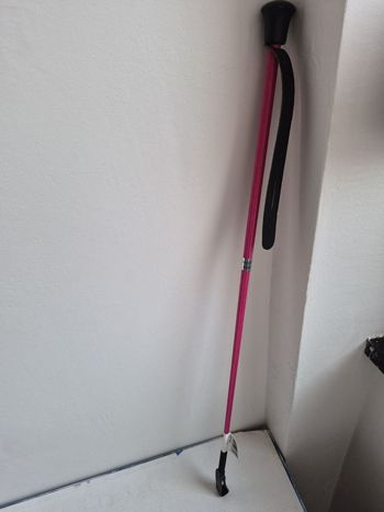 Cravache Easy II pink