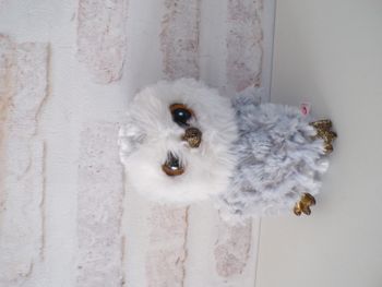 Peluche hibou Ty (J27)