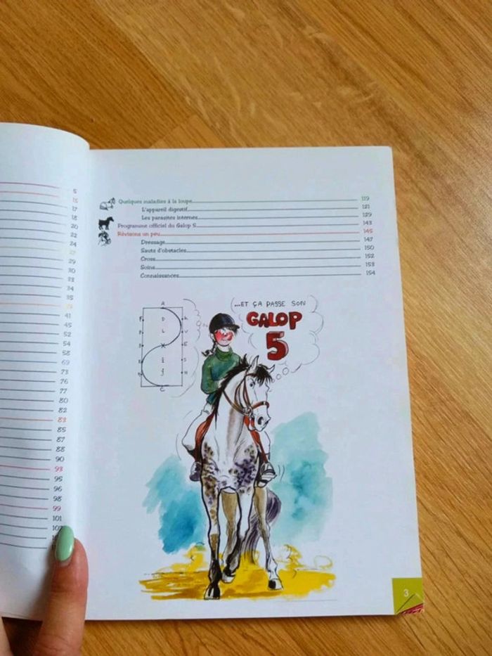 Manuel galop 5 - photo numéro 3