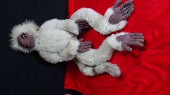 Peluche singe