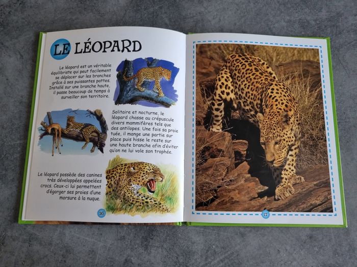 Les animaux de la savane - photo numéro 4