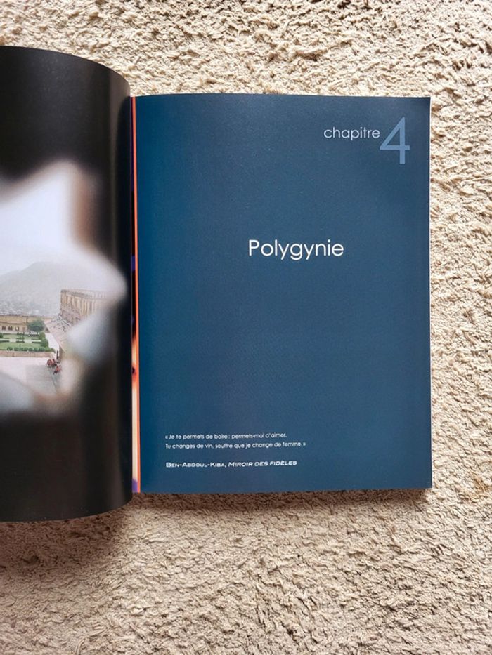 Livre de Jacques Attali Amours, histoires des relations entre les hommes et les femmes - photo numéro 7