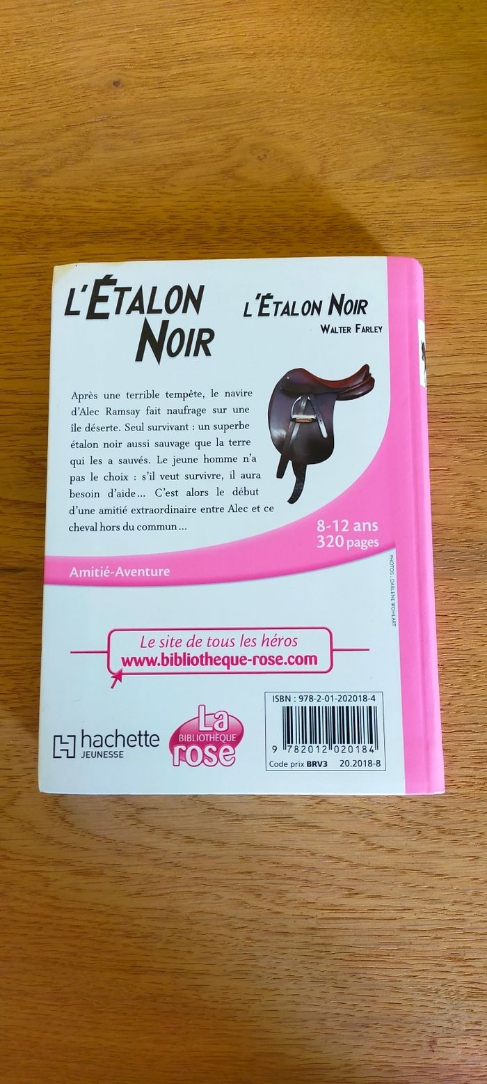 L'étalon noir - photo numéro 2