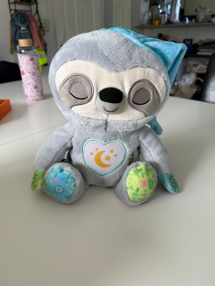 Paresseux rêves merveilleux