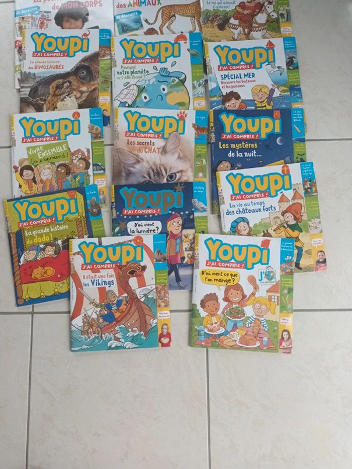 Lot de 14 magazines Youpi j'ai compris 5-8 ans - photo numéro 4