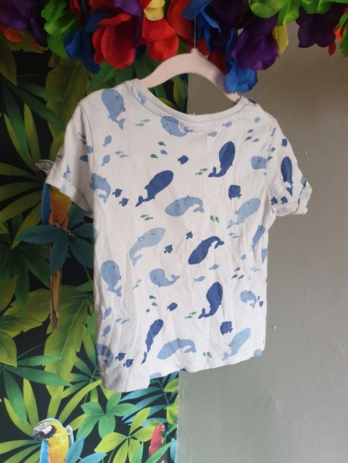T-shirt baleines et poissons - photo numéro 4