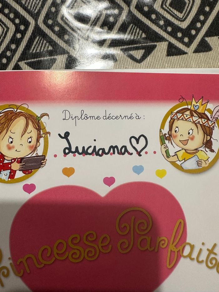 Lot livres princesse parfaite - photo numéro 8