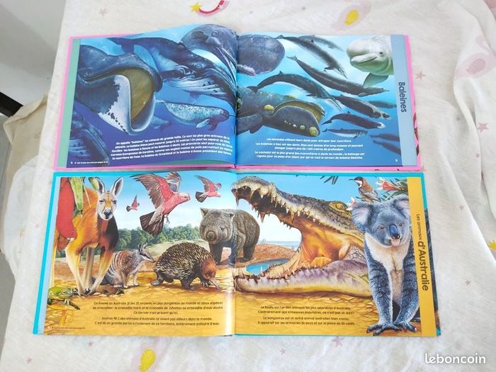 Lot 2 livres. Animaux des Océans / du monde - photo numéro 2