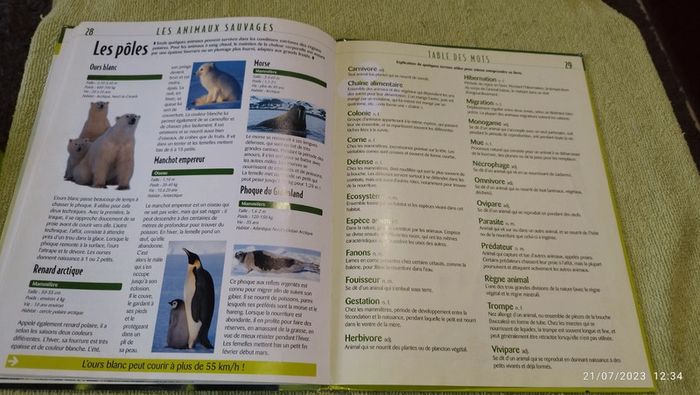 Livre les animaux sauvages - photo numéro 9