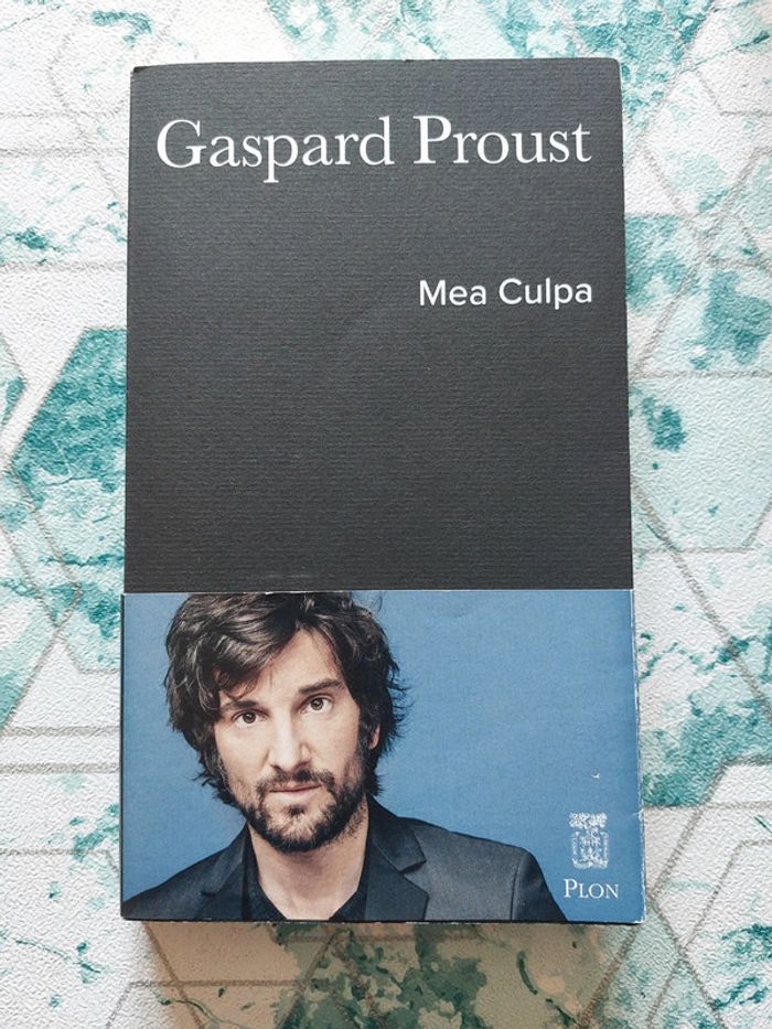 Gaspard Proust - Mea Culpa