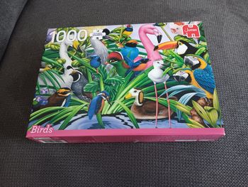 Puzzle 1000 pièces 